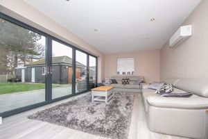 THE CONIFERS- click for photo gallery